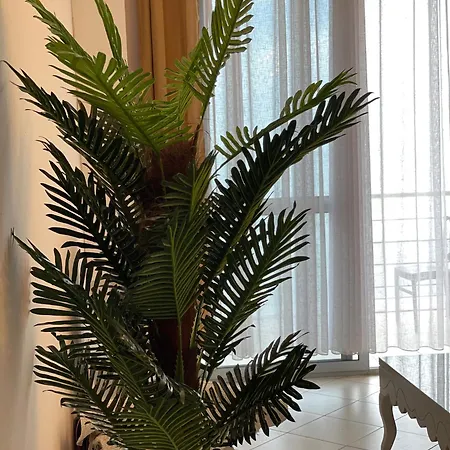 Seaside Appartement *