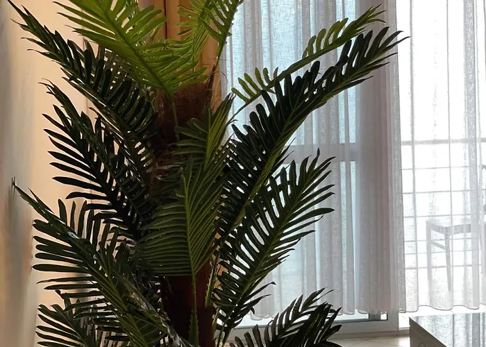 Seaside Appartement *